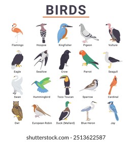 Birds vector icon set for commercial use