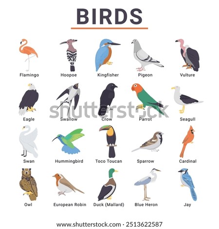 Birds vector icon set for commercial use
