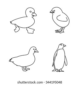 Birds vector icons