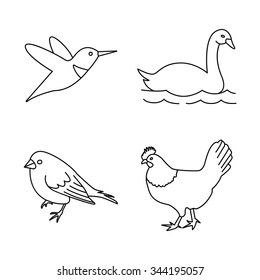 Birds vector icons