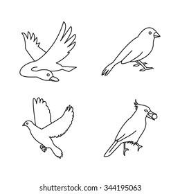 Birds vector icons