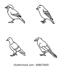 Birds vector icons