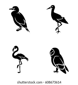 Birds vector icons