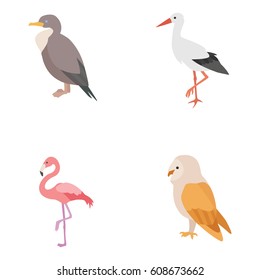 Birds vector icons