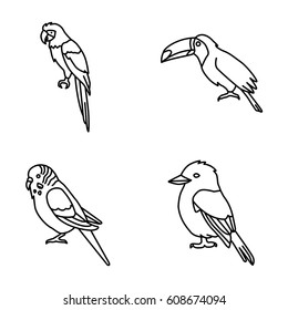 Birds vector icons