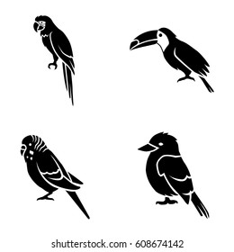 Birds vector icons