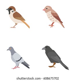 Birds vector icons