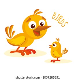 Birds vector illustration