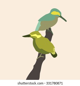 Birds vector illustration