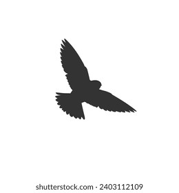 Birds vector illustration, silhouettes suitable for bird lovers, ornithologists, educators, and designers who want to create bird-themed projects