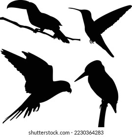 Birds Vector Illustrator editable and printable vector eps file