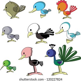 birds vector include owl, duck, cock, pigeon