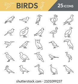 Juego de iconos de la línea vector Birds
