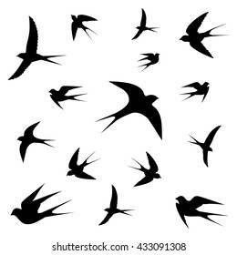 birds vector on white background,vector illustration