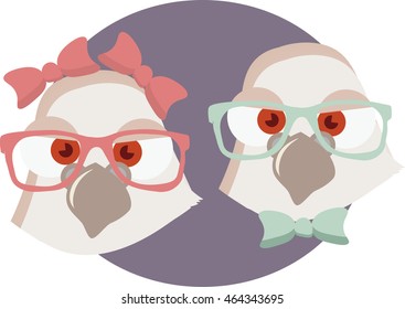 Birds vector. Pigeons: girl and boy or woman and man. Hand drawn childish cartoon style colored. Couple of pigeons. Good for wedding card invitation. Wedding birds. Good as logo or icon. Loving couple