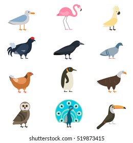 Birds vector set illustration isolated. Different fly animals breeds collection: owl, flamingo, penguin and other birds avifauna