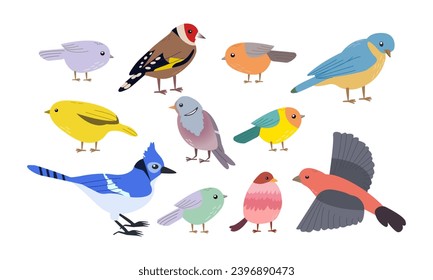 BIRDS , ilustración vectorial de aves primaverales , diferentes formas y color de forma de dibujos animados planos aislados sobre fondo blanco , para diversos usos de diseño ,