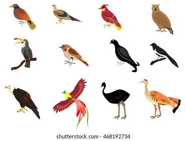 Birds vector set isolated on white
