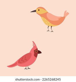 Birds vector set premium vector illustration