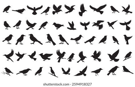 Birds vector set silhouettes style with transparent background bird flying vector silhouette collection set	