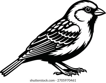 Ilustrador de silueta de Vector de pájaros negro y escribir 