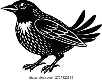Ilustrador de silueta de Vector de pájaros negro y escribir 