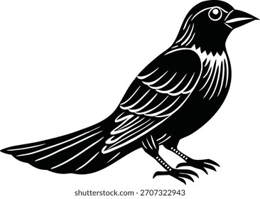 Ilustrador de silueta de Vector de pájaros negro y escribir 