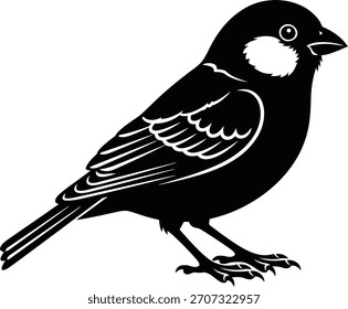 birds vector silhouette illustrator black and write 