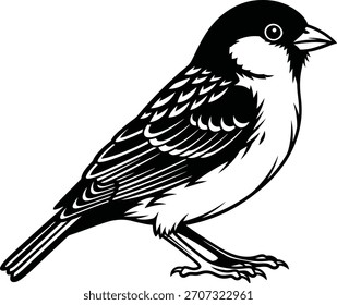 Ilustrador de silueta de Vector de pájaros negro y escribir 