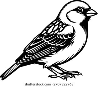 Ilustrador de silueta de Vector de pájaros negro y escribir 