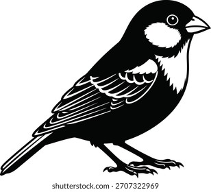 Ilustrador de silueta de Vector de pájaros negro y escribir 