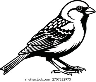 Ilustrador de silueta de Vector de pájaros negro y escribir 