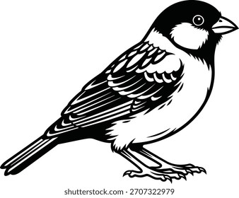 Ilustrador de silueta de Vector de pájaros negro y escribir 