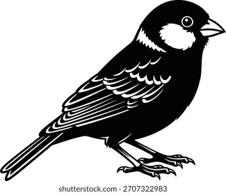 Ilustrador de silueta de Vector de pájaros negro y escribir 
