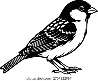 Ilustrador de silueta de Vector de pájaros negro y escribir 