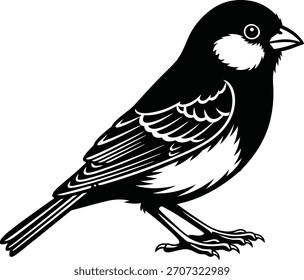 Ilustrador de silueta de Vector de pájaros negro y escribir 