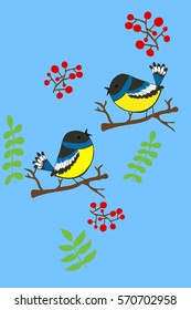 Birds vector. Titmouse isolated.