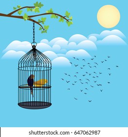 birds want freedom