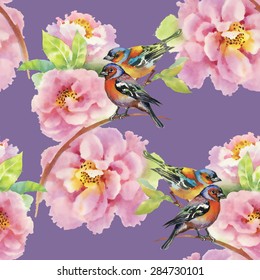 Birds with watercolor garden pink roses flowers seamless pattern on purple background vector illustration