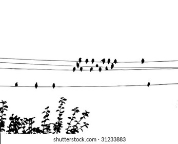 birds to waxwings on wire. vector