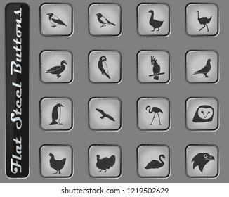 birds web icons on the flat steel buttons