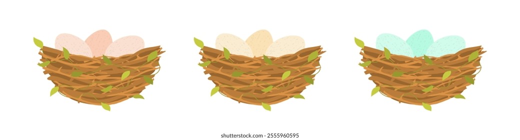 Birds wild nest with eggs. Branches and leaves collected together for laying and hatching chicks with nature vector design