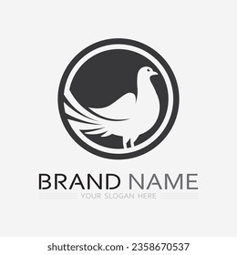 birds and wing logo animal vector icon fly design illustration template graphic