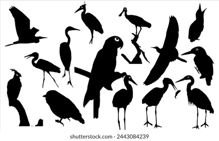 Diseño de vector de mosca de águila de silueta de ala de pájaros