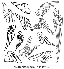 Birds & wings set linear silhouette isolated on background, vector illustration