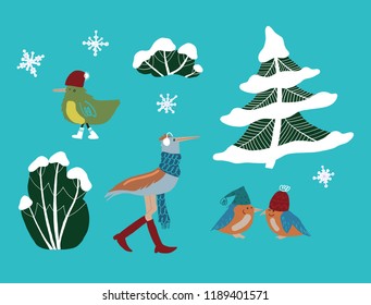 birds in winter