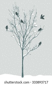 birds in the winter