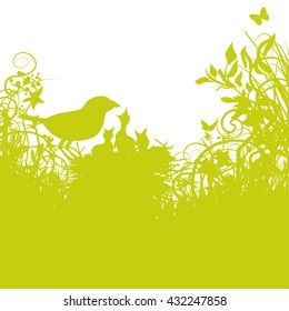 Bird's-nest and young birds