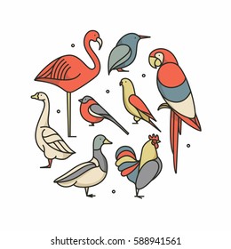 Birds,vector outline illustration, icon set, white background. Flamingo, Macaw, Rooster, Parrot, Duck, Goose, Kingfisher