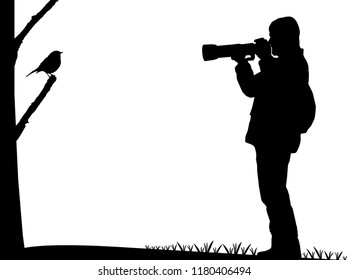 Birdwatcher photographs a bird silhouette